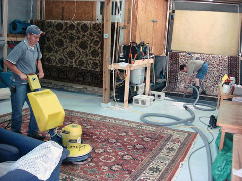 Rugs being shampooed and fringes cleaned