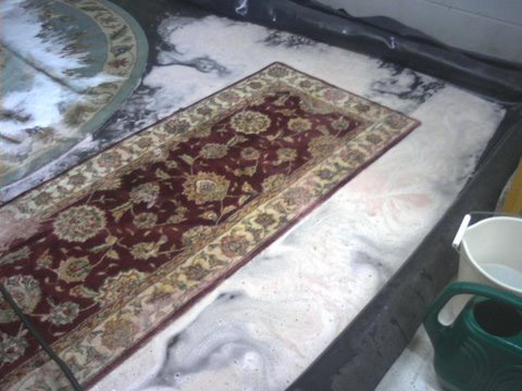 This rug soaks in a cleaning bath